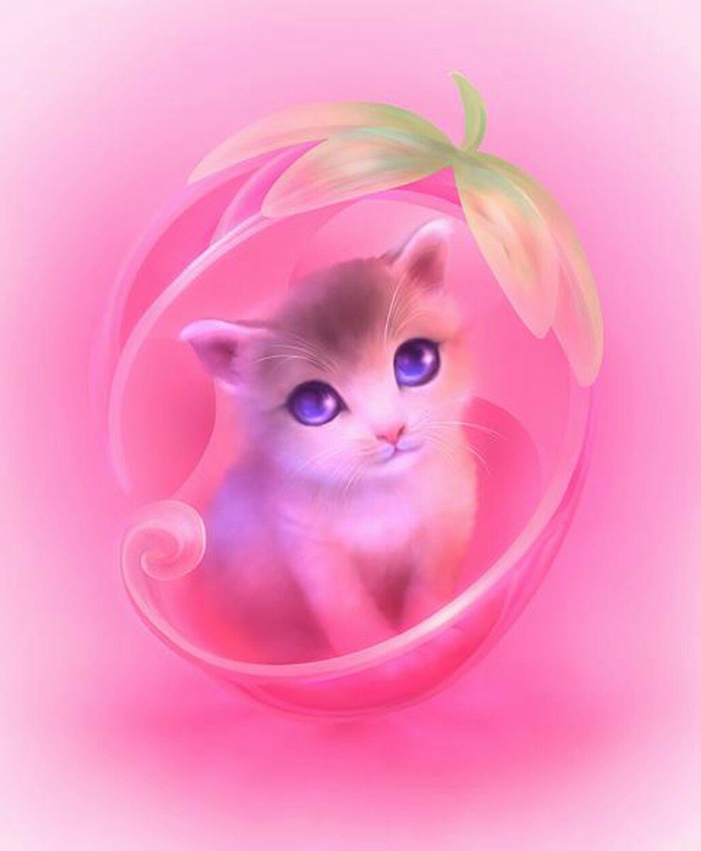 Розовый котик