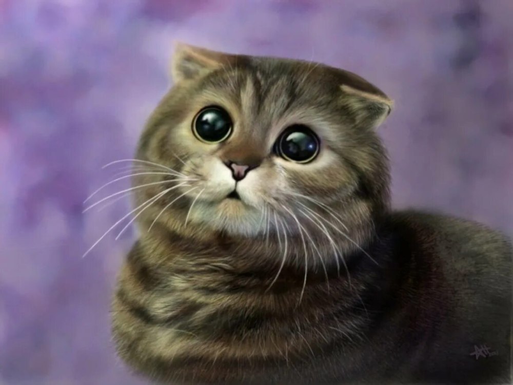 Милая мордочка кота