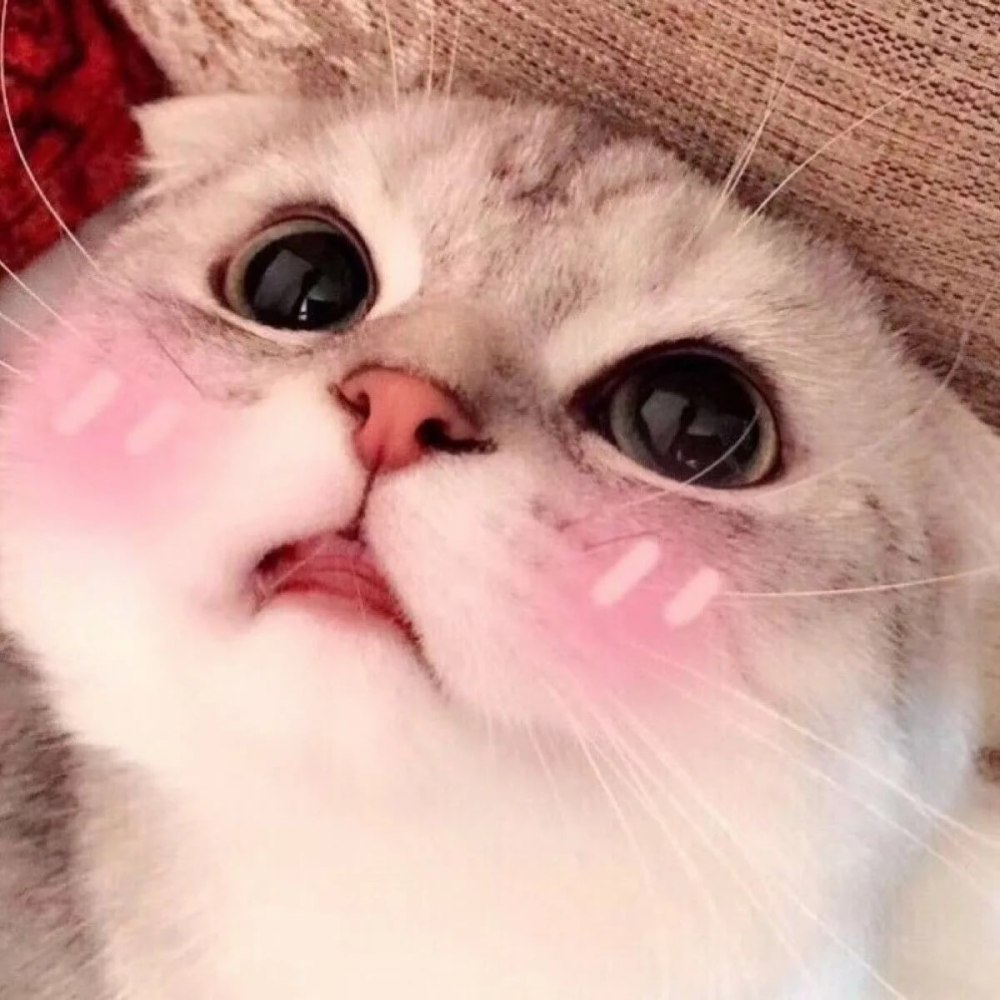 Милые котики с сердечками