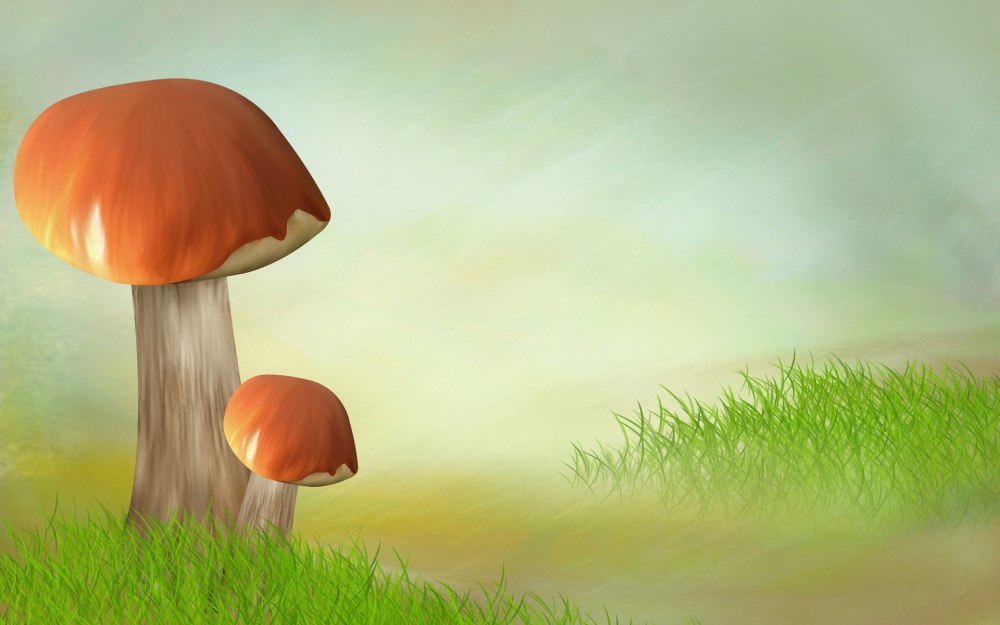Сказочная Поляна с грибами