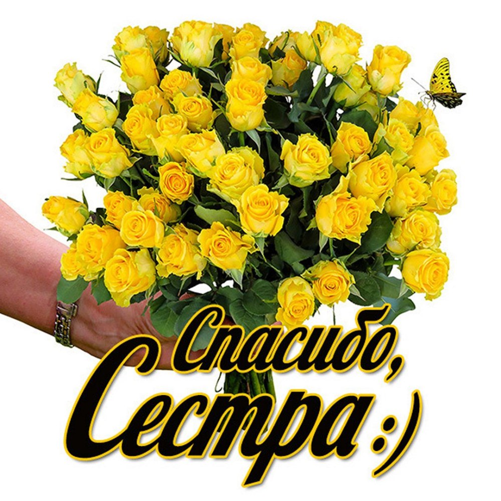 Спасибо большое