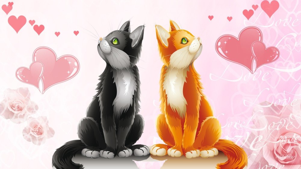 Котики любовь
