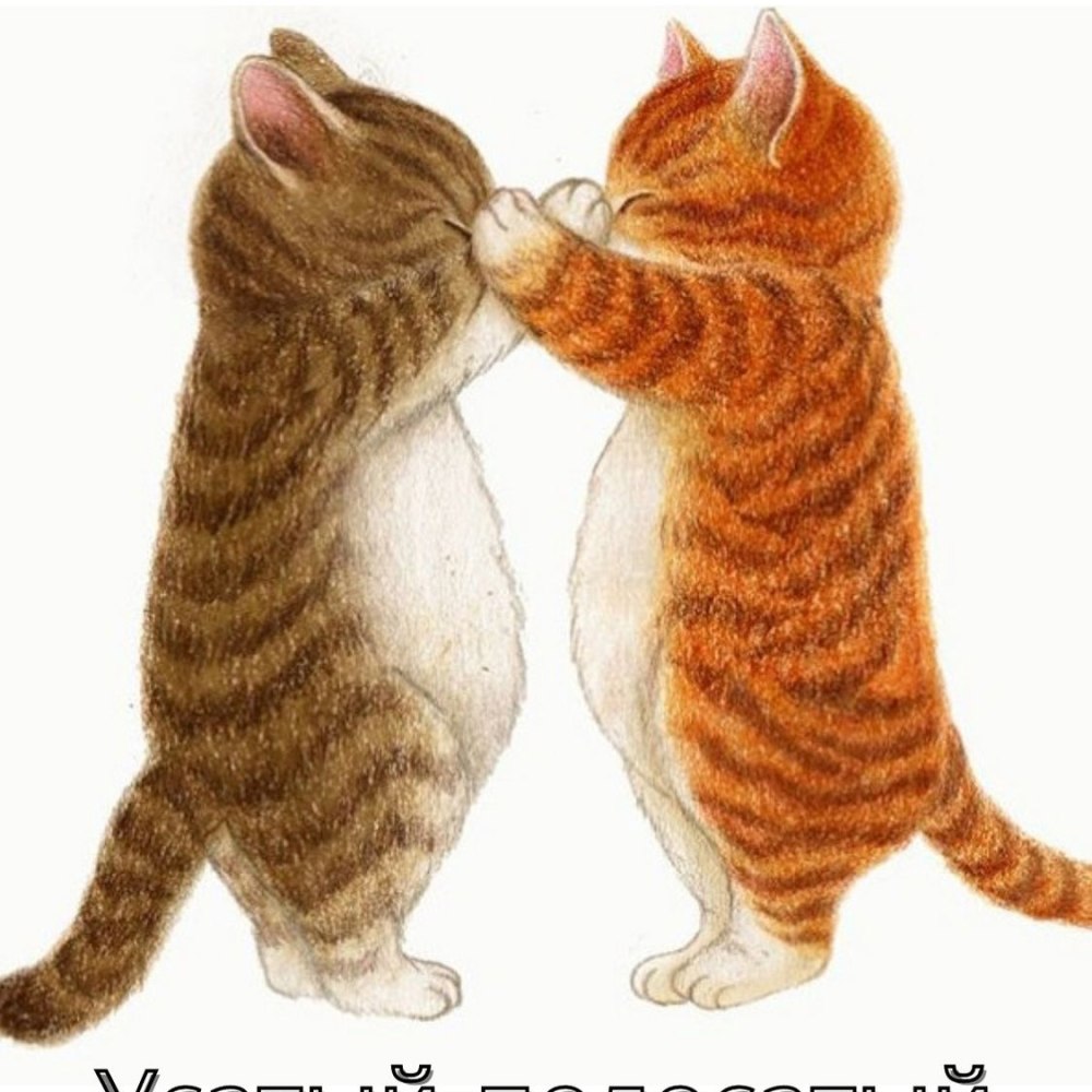 Котики арты