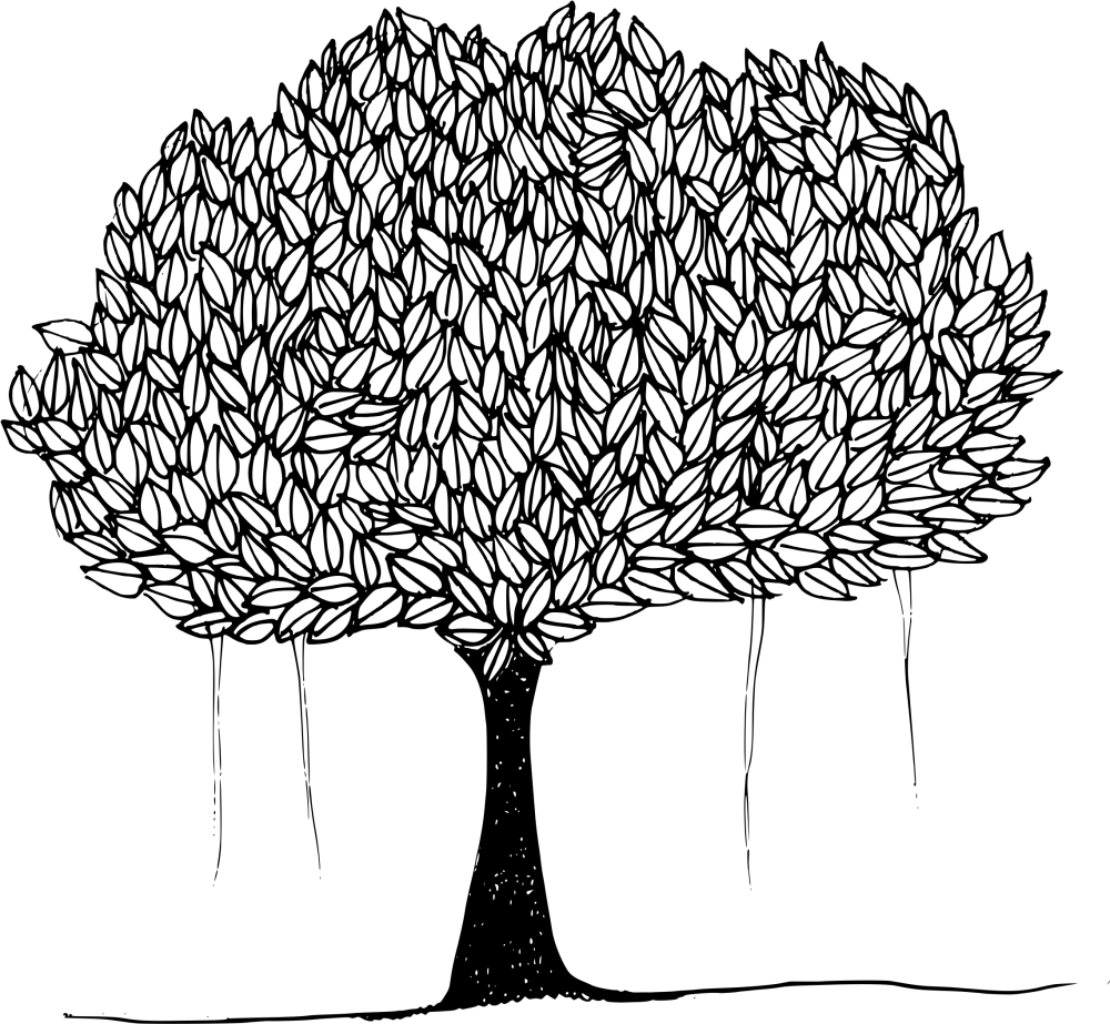 Дерево Графика
