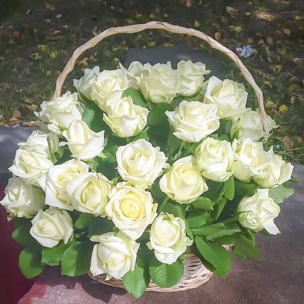 Корзина белых роз