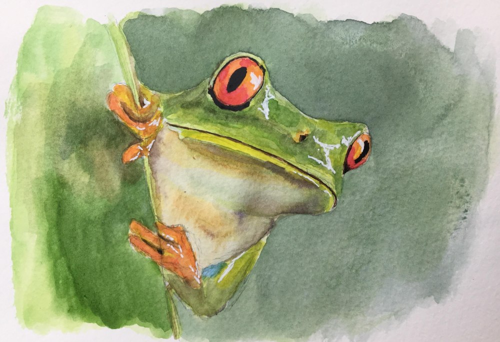 Lakwatserong Frog -