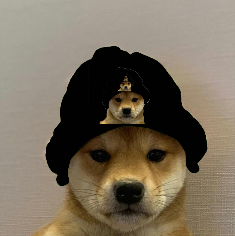 Собака в кепке