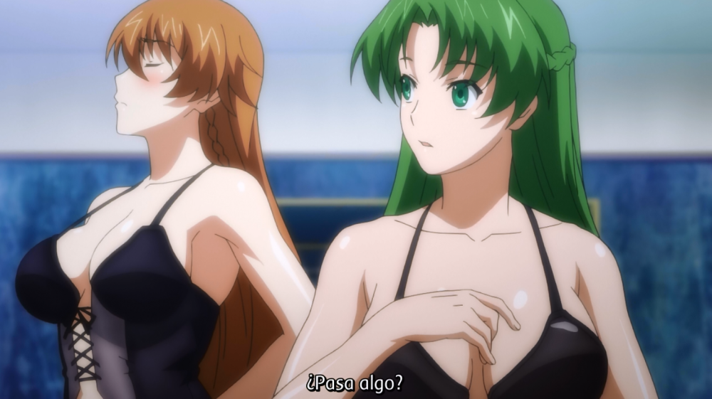 Queen's Blade Rebellion vs. Hagure Yuusha no Aesthetica