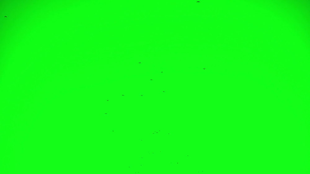 Зелёный фон без нечего
