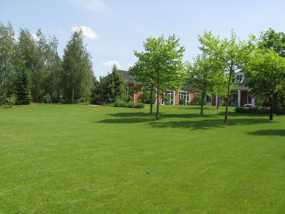 Газон панорама