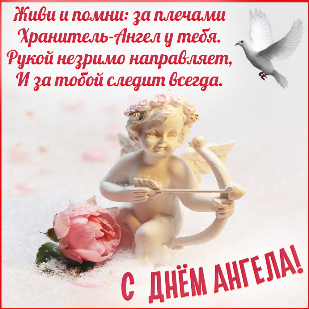 Татьянин день поздравление