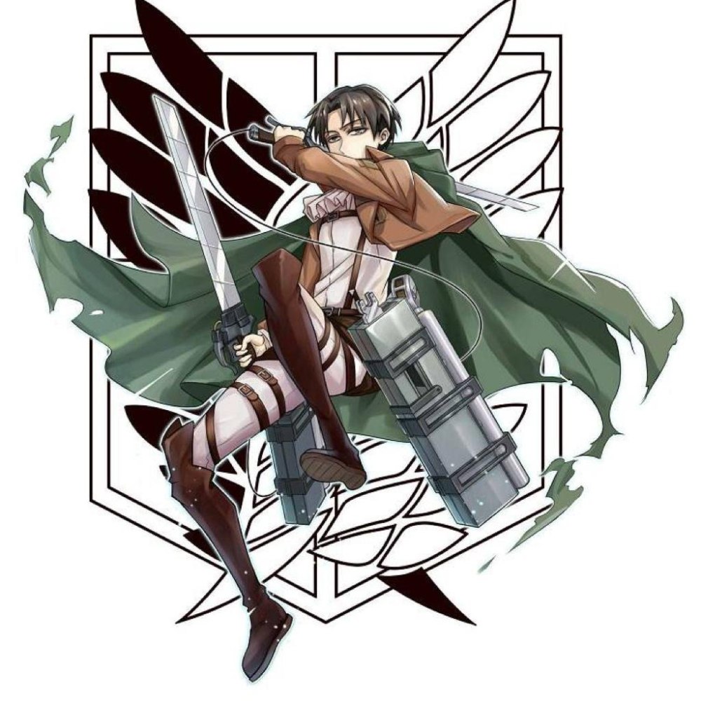 Микаса AOT