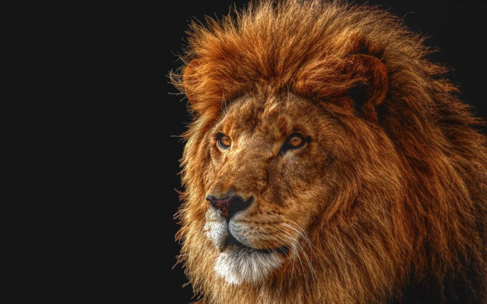 Mac os x Lion 10.7.5