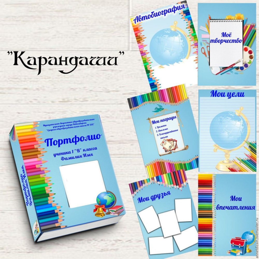 Портфолио достижений