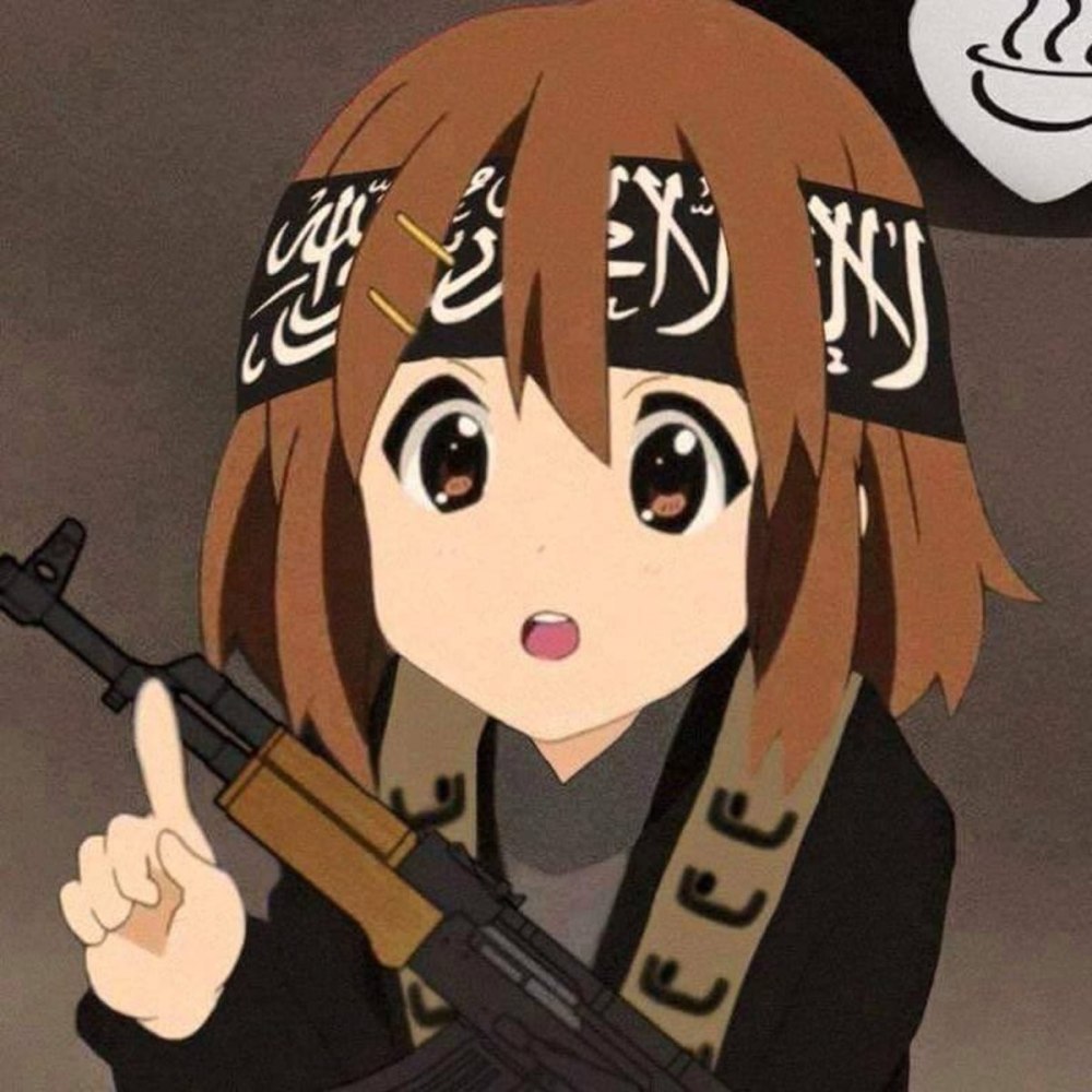 Юи Хирасава Мем