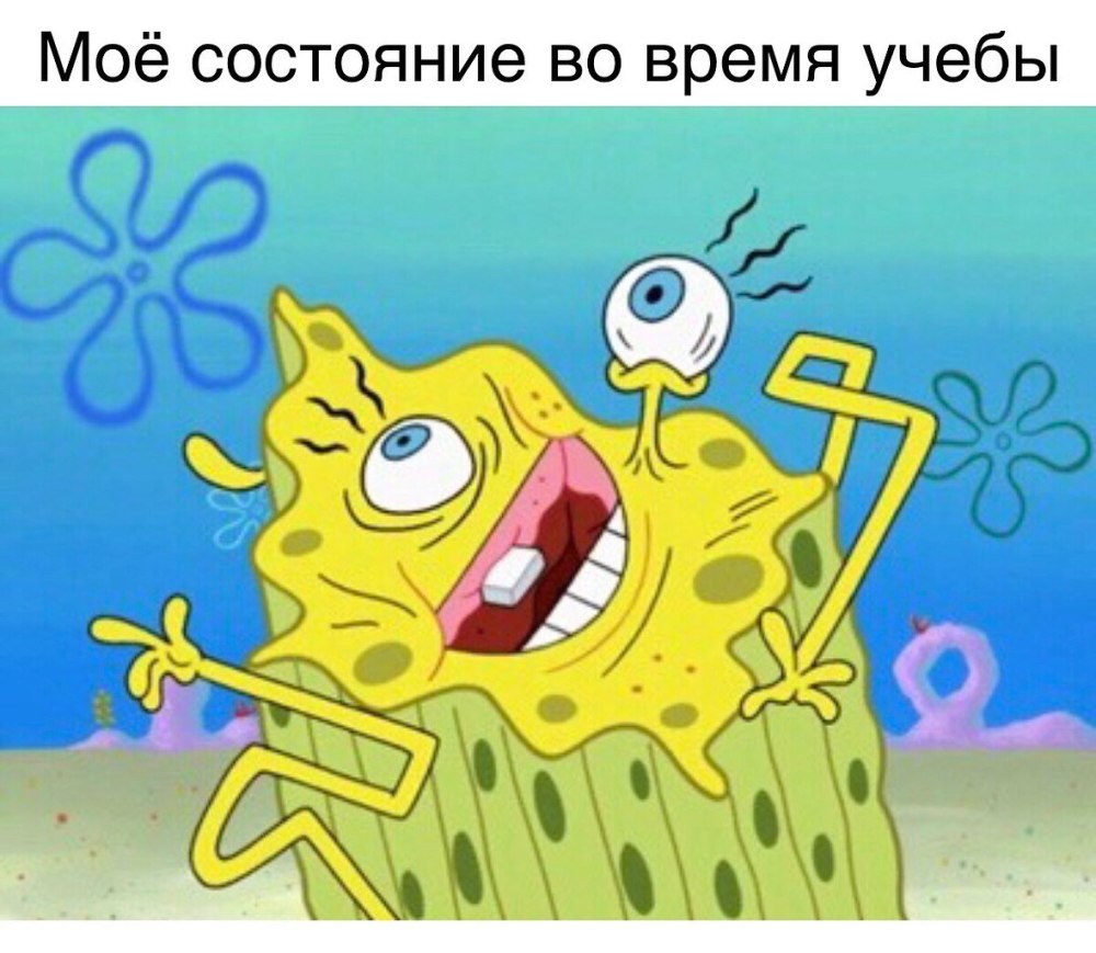 Губка Боб маляры