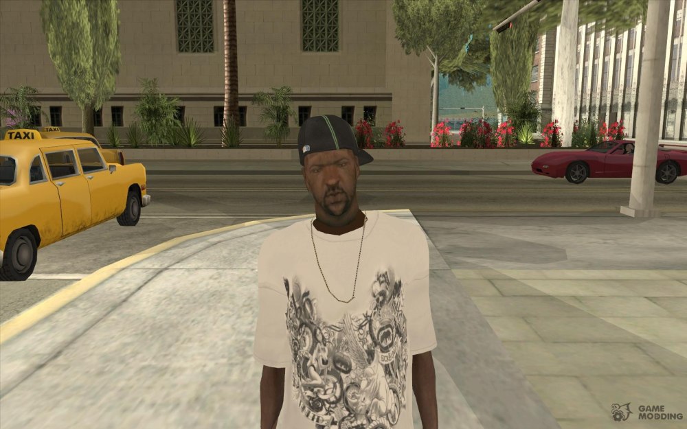 GTA San Andreas скин свита