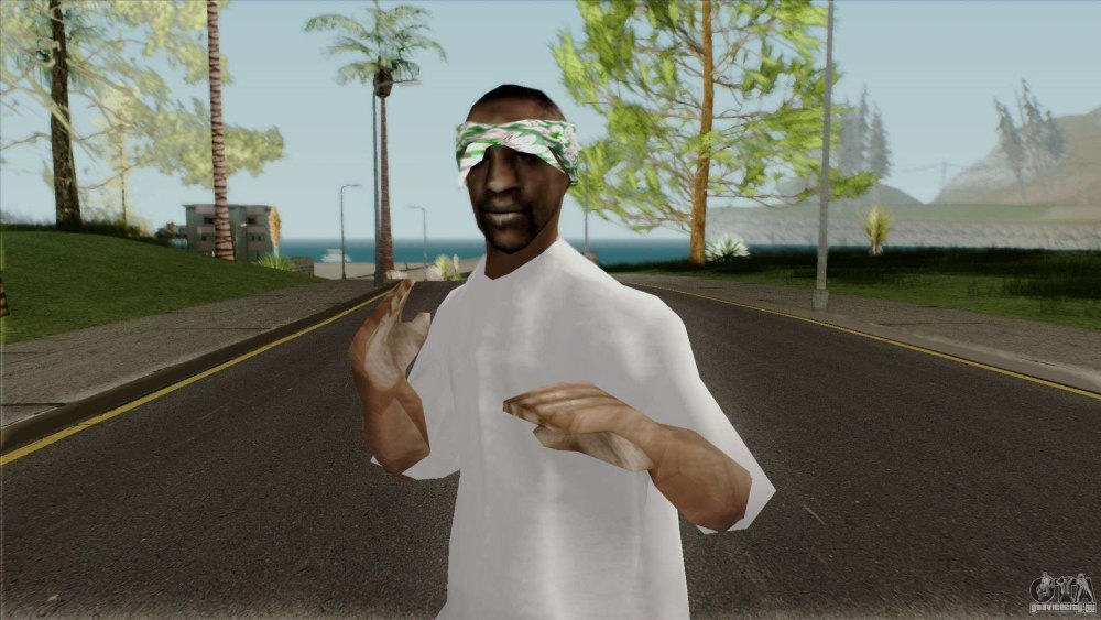 Свит GTA sa