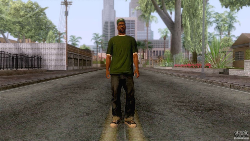 GTA San Andreas скин свита