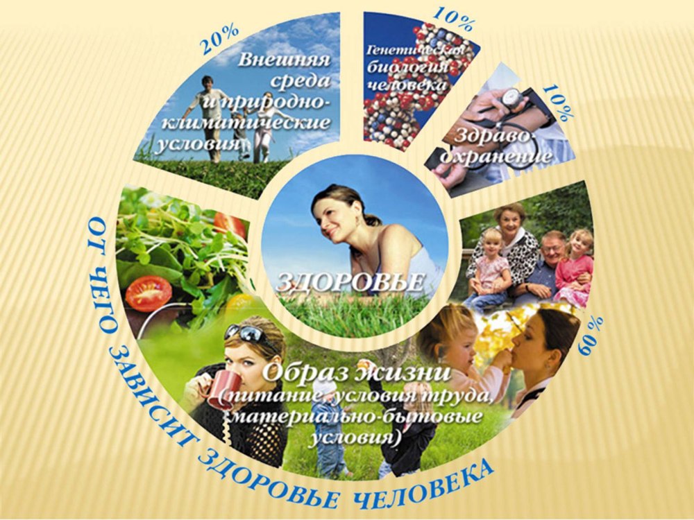 Здоровье образ жизни