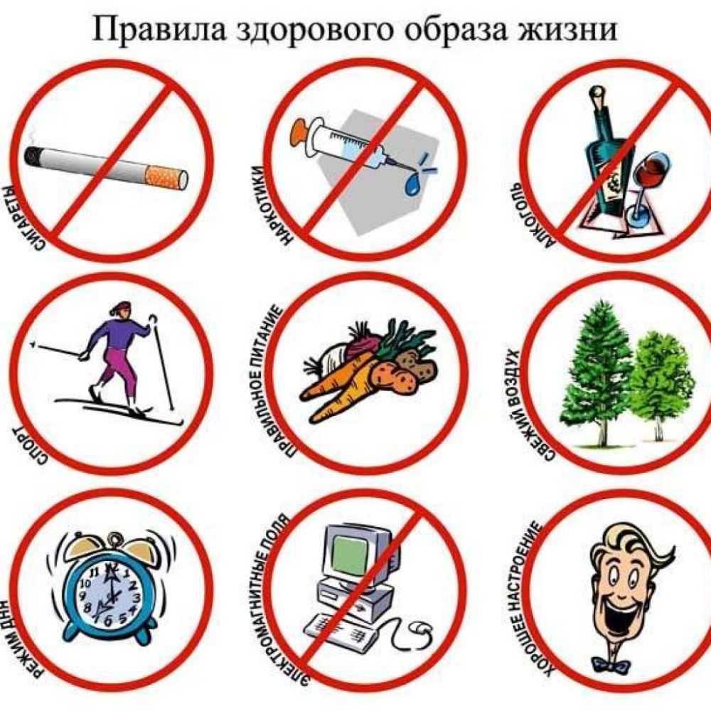 Правила здорового образа жизни
