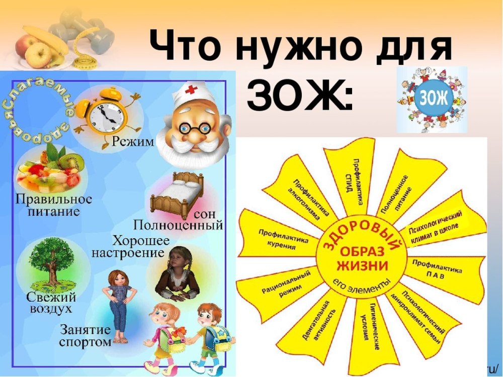 Здоровым быть модно