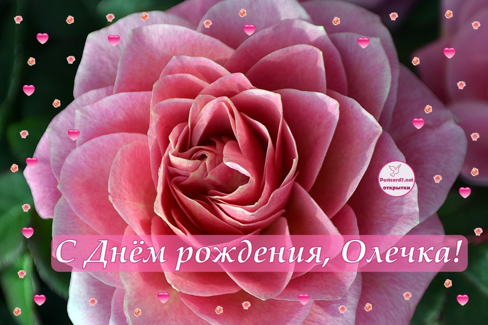 С днём рождения Наталья Николаевна