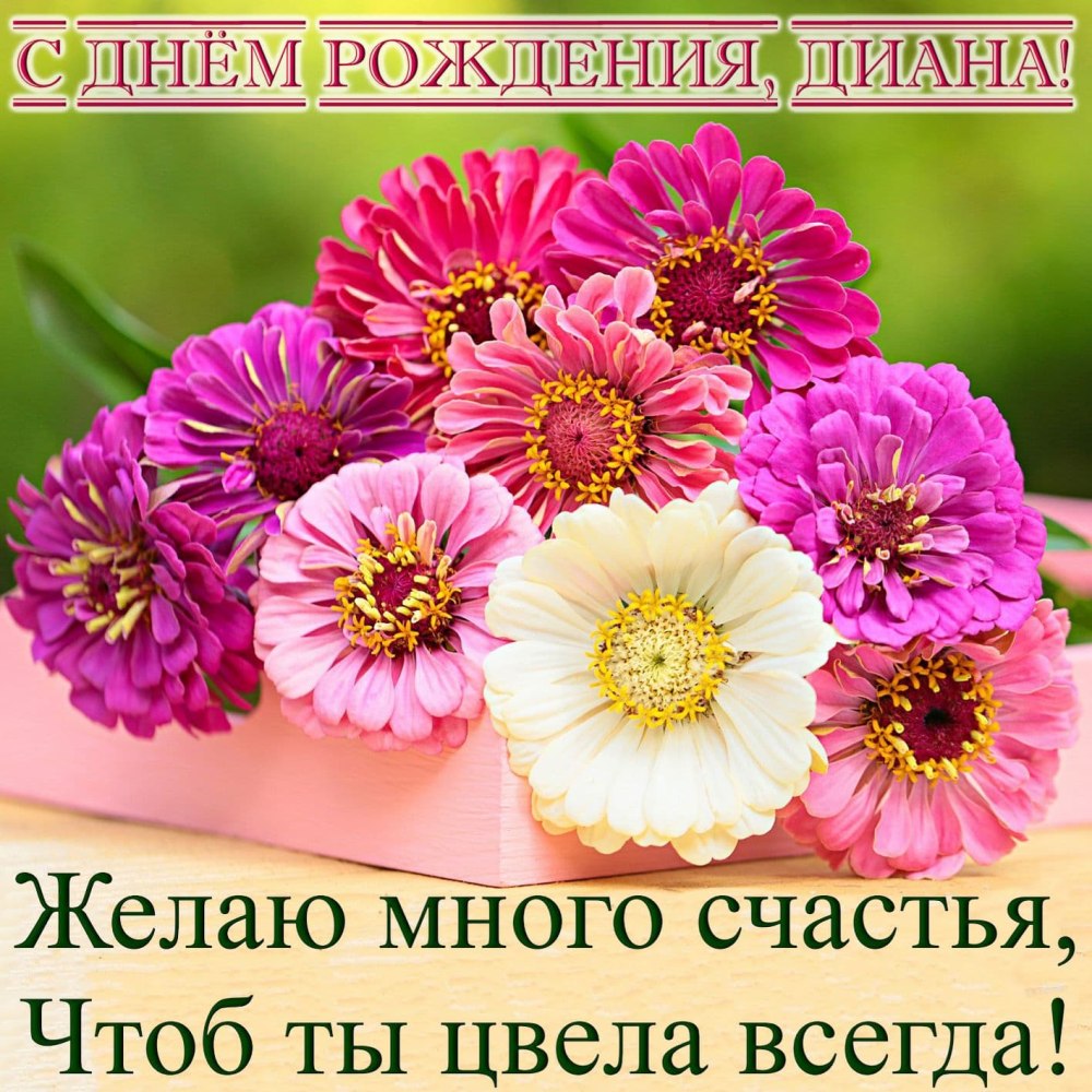 Поздравительная открытка