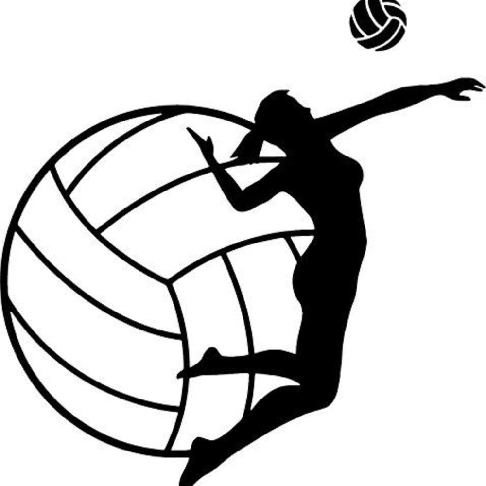 Волейбольный мяч Volleyball