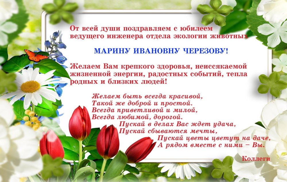 С днём рождения Вероника