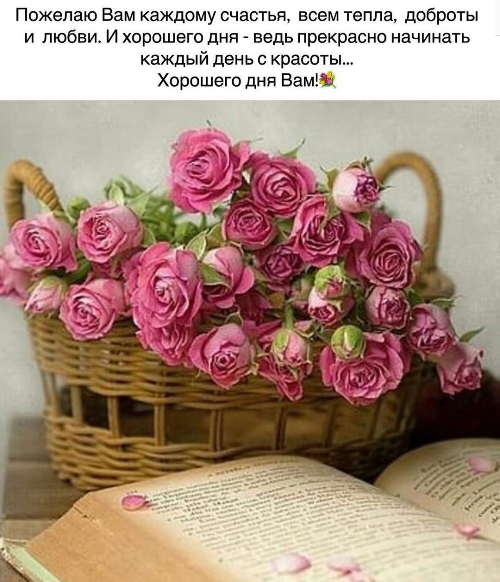 Света с днём рождения поздравления