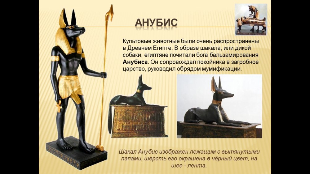 Собака Анубис Египет