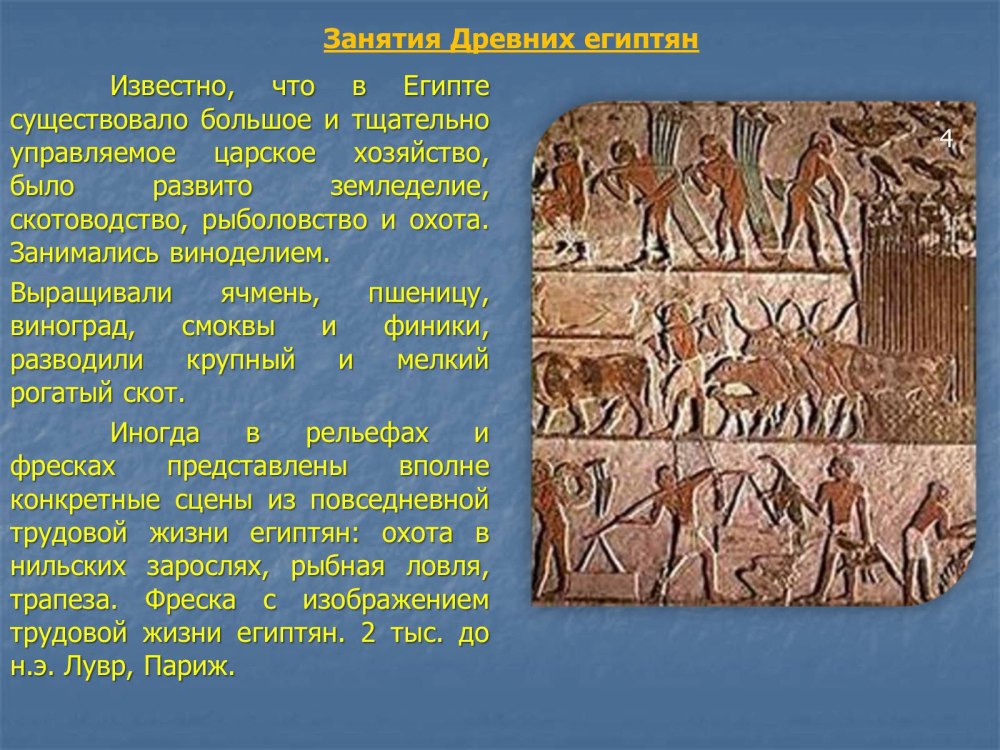 Занятия египтян в древнем Египте 5 класс