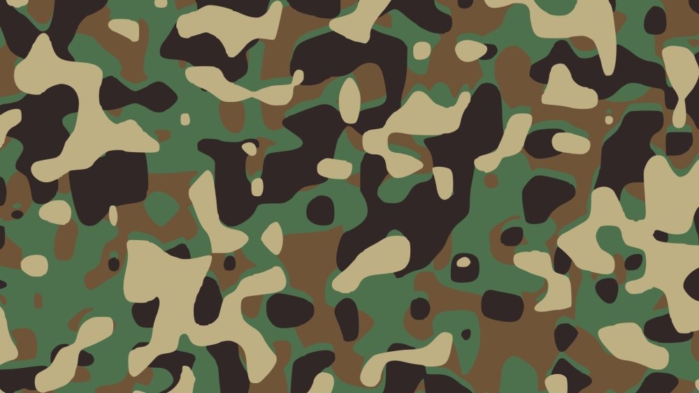 Защитный цвет военной