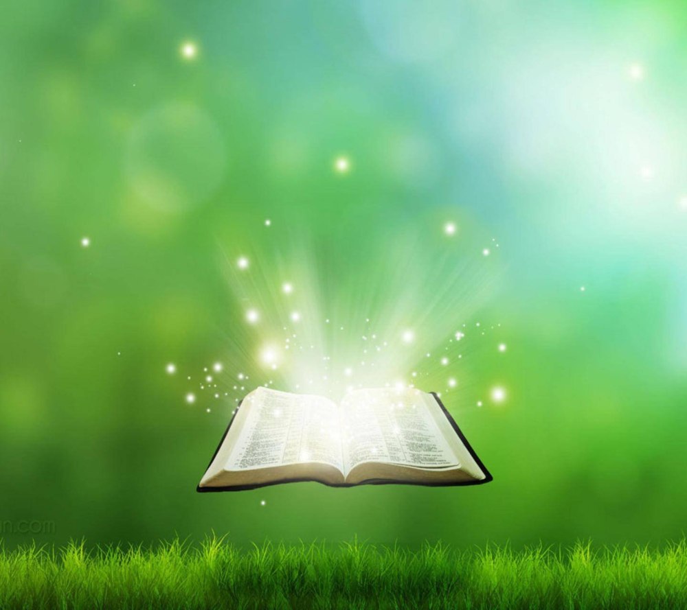 Красивый фон с книгами