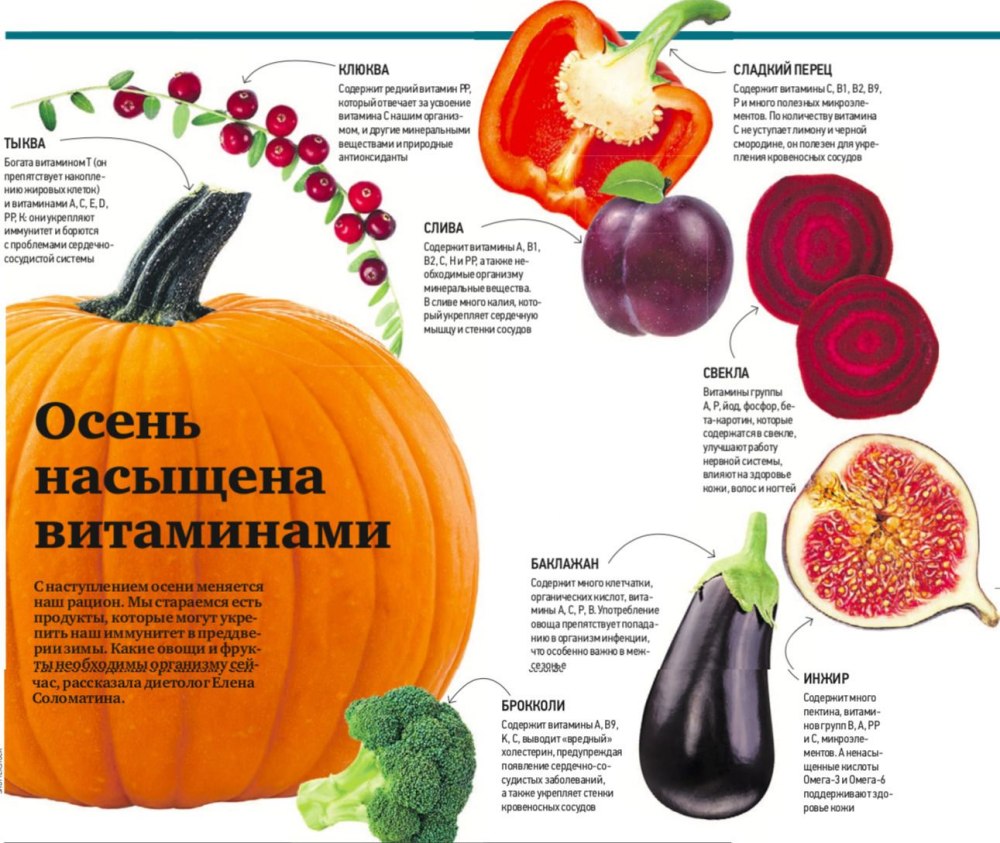 Полезные овощи и фрукты осенью
