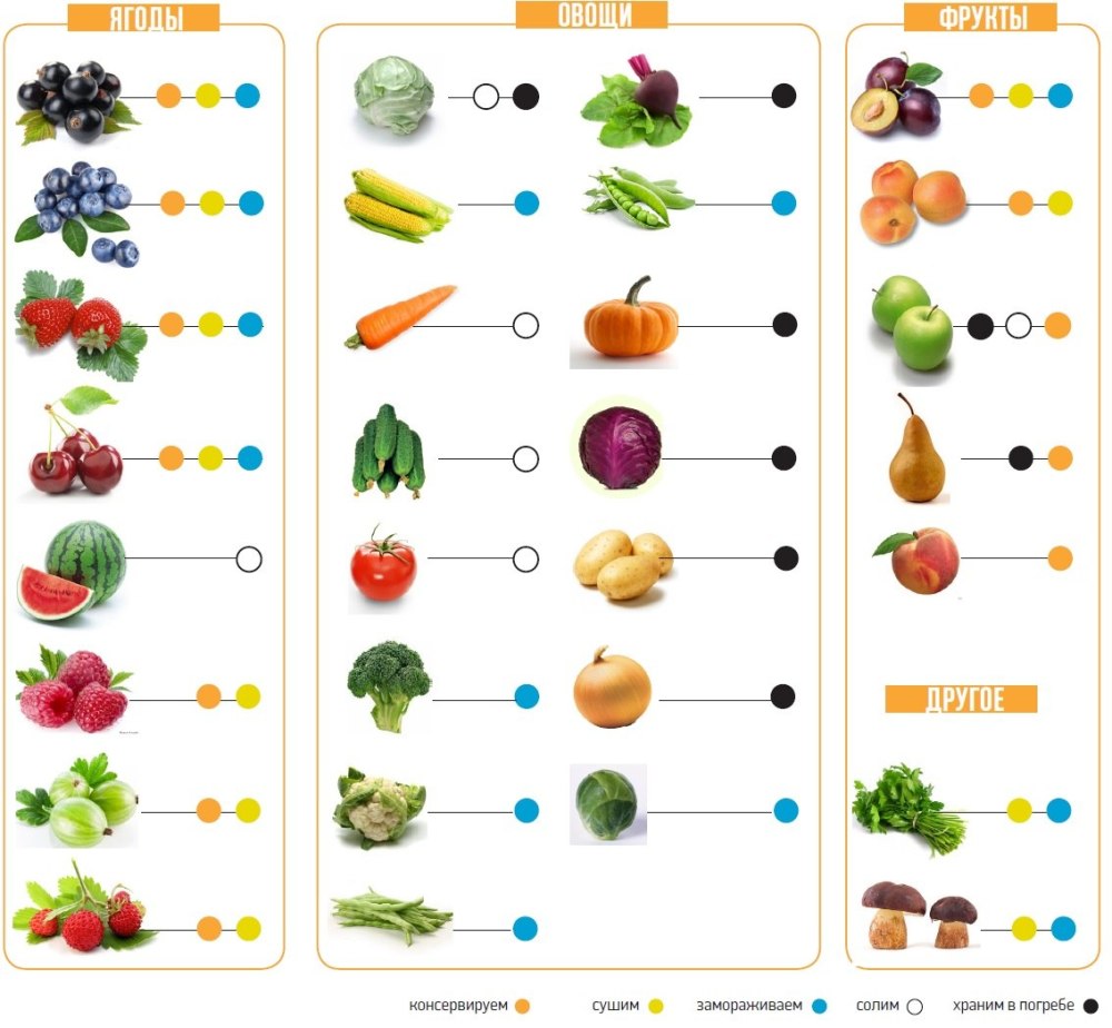Продукты с высоким содержанием витамина ц