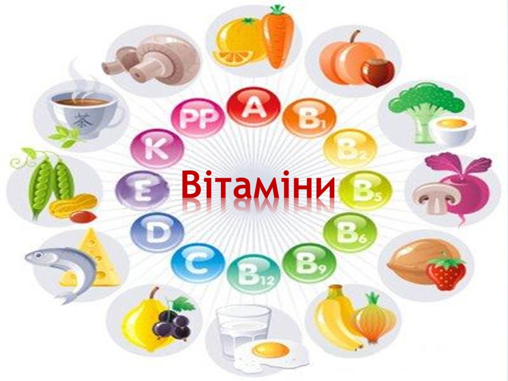 Стихи про овощи