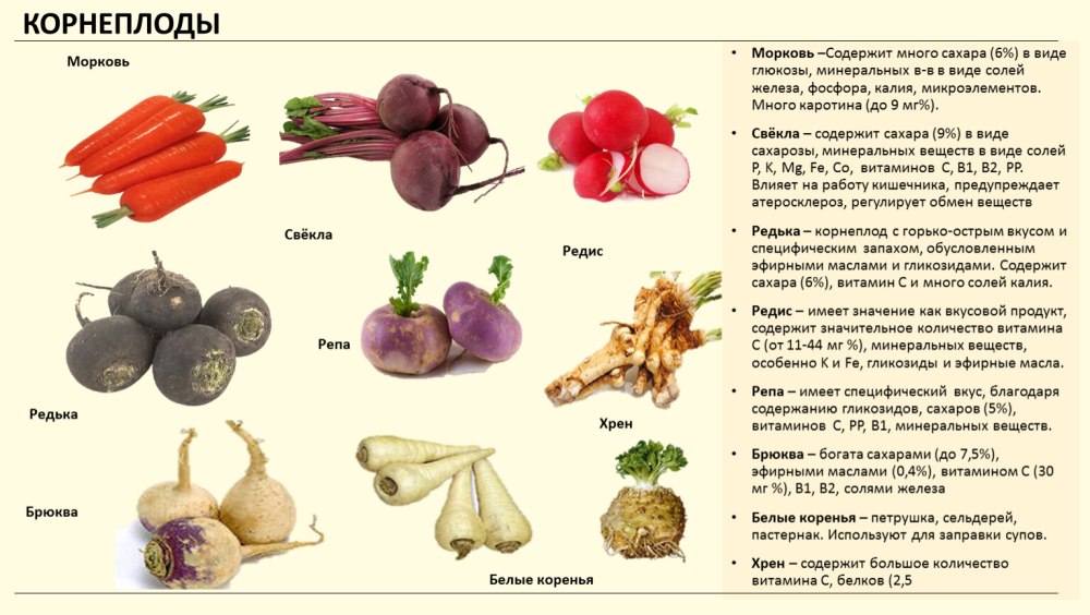 Овощи и фрукты задания для детей