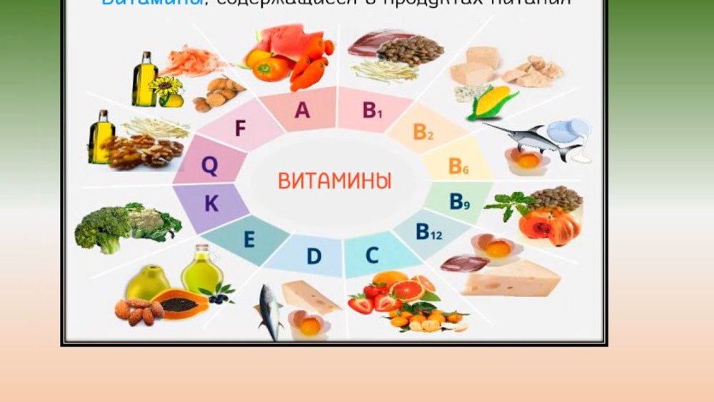 Эскиз овощи и фрукты