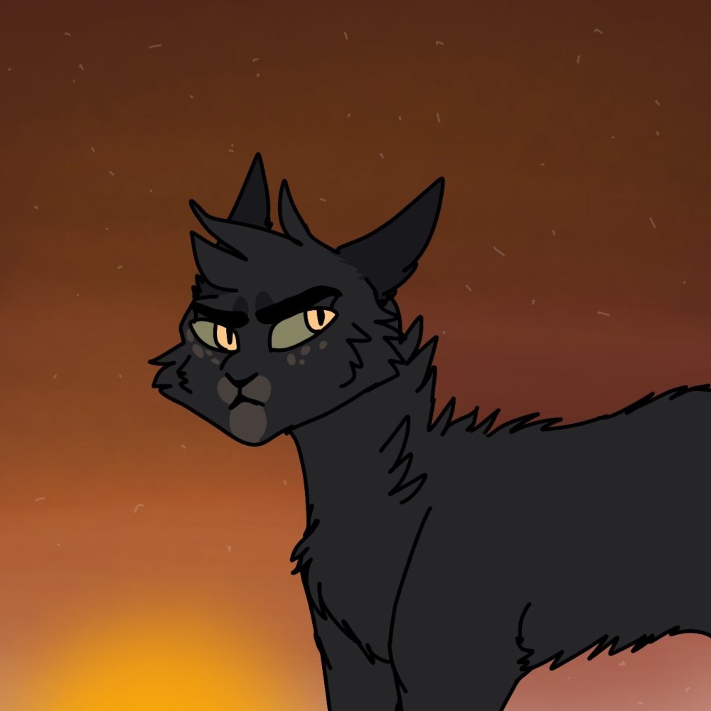 Коты Воители Грач