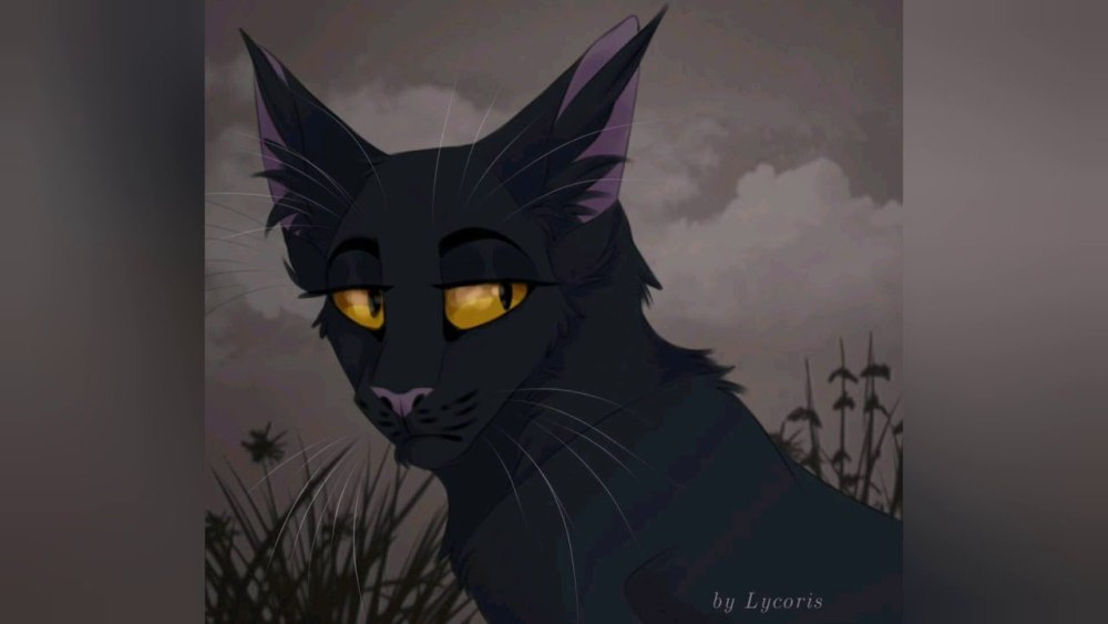 Коты Воители Грач и Сумеречница