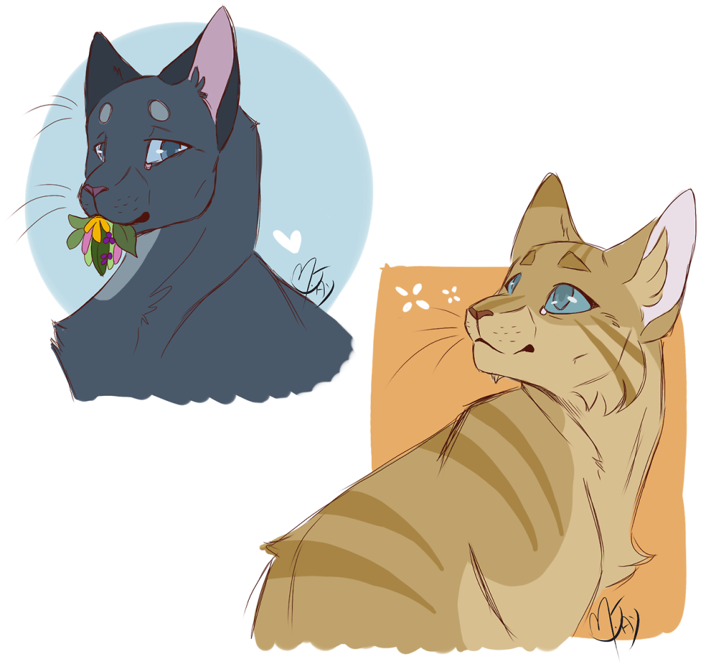 Коты Воители Warriors Cats