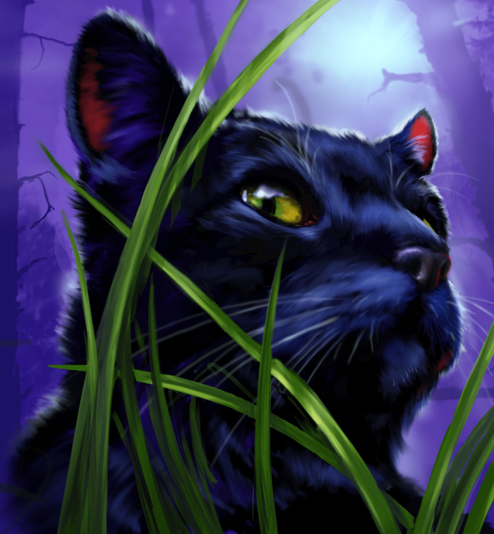 Sagutoyas Designs Warrior Cats