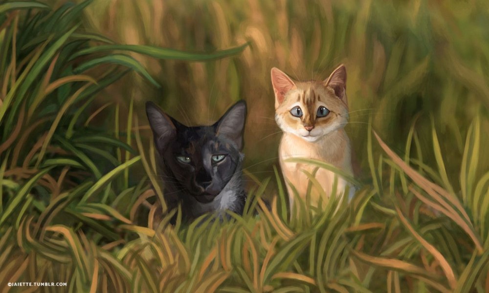 Коты Воители веретеноглазка