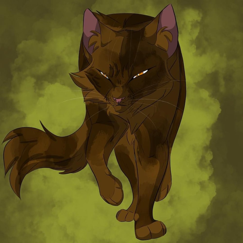 Коты Воители Акира