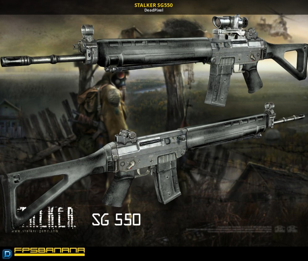 Sig SG 550 из сталкера