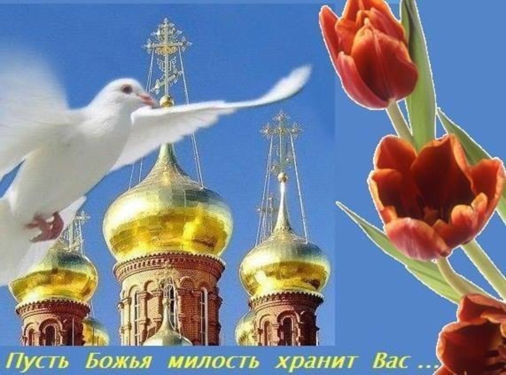 Голуби над Церковью