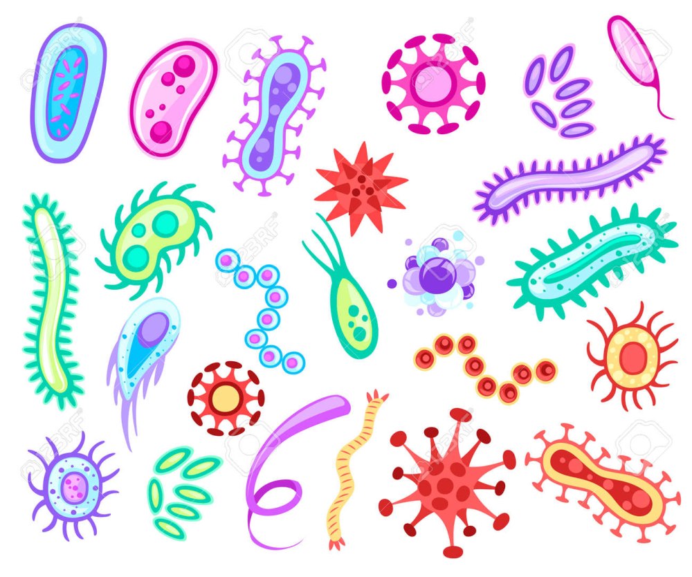 Рисунок бактерии и грибы