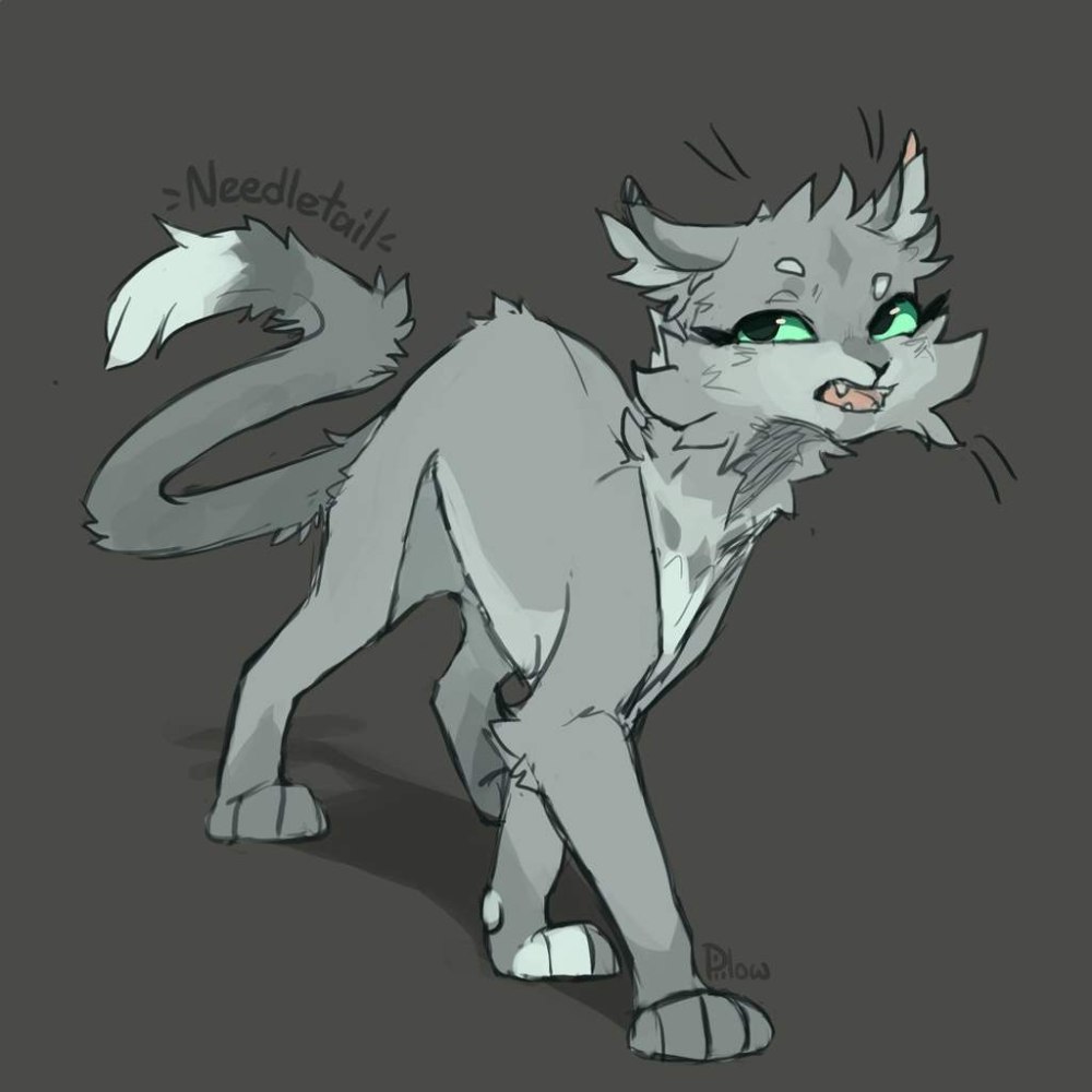 GRAYPILLOW коты Воители Гусохвост